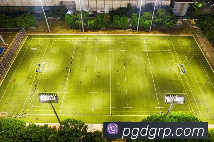 pg平台生态图